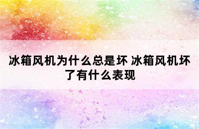 冰箱风机为什么总是坏 冰箱风机坏了有什么表现